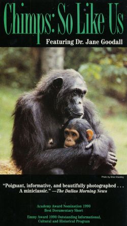 Chimps: So Like Us
