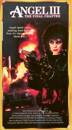 Angel III: The Final Chapter