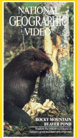 National Geographic: Rocky Mountain Beaver Pond (1987) - Synopsis National Geographic: Rocky Mountain Beaver Pond (1987) - Synopsis