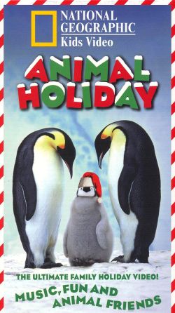 National Geographic Kids: Animal Holiday (1997) - | Synopsis