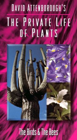 David Attenborough's The Private Life of Plants: Birds & Bees