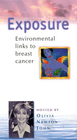 Exposure: Environmental Links to Breast Cancer