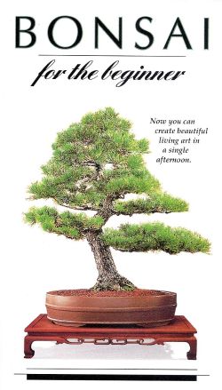 Bonsai for the Beginner on AllM...