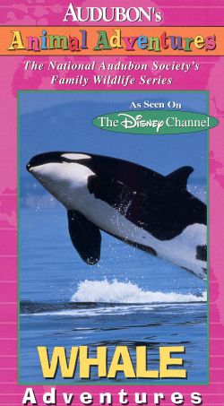 Audubon's Animal Adventures: Whale