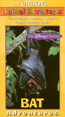 Audubon's Animal Adventures: Bat