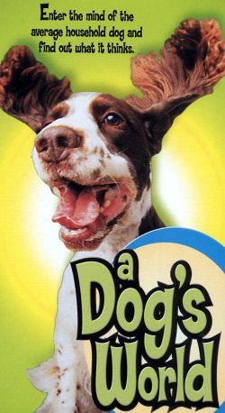 A Dog's World