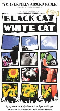 Black Cat, White Cat
