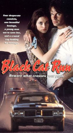 Black Cat Run