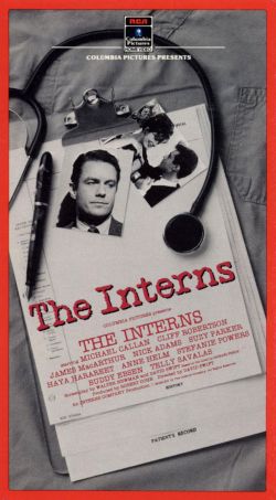 The Interns