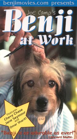 Benji at Work