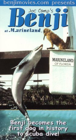 Benji at Marineland
