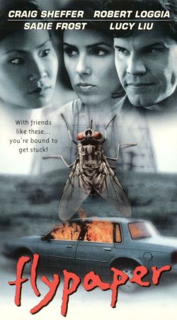 Flypaper