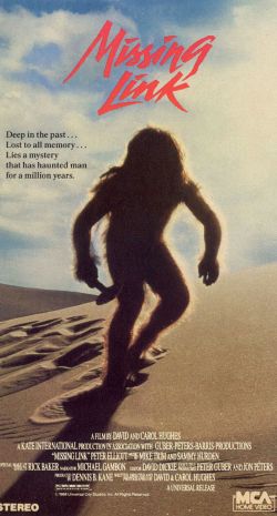 The Missing Link