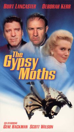 The Gypsy Moths