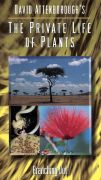David Attenborough's The Private Life of Plants: Branching Out
