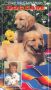 Rue McClanahan: The Dog Care Video Guide