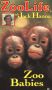 ZooLife with Jack Hanna: Zoo Babies