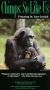 Chimps: So Like Us