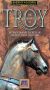 Ancient Mysteries: The Odyssey of Troy
