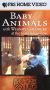 In the Wild: Baby Animals with Whoopi Goldberg at the San Diego Zoo