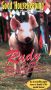 Rennschwein Rudi Rüssel