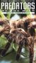 Predators of the Wild: Giant Tarantula