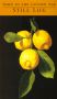 Still Life: Spain in the Golden Age