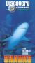 The Ultimate Guide: Sharks
