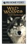 Wild Wolves