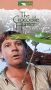 Crocodile Hunter: Africa's Deadliest Snakes