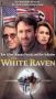 White Raven
