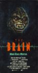 The Brain