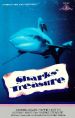 Sharks' Treasure
