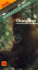 Sierra Club Series: Orangutan