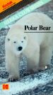 Sierra Club Series: Polar Bear