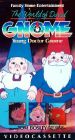 World of David the Gnome: Young Doctor Gnome