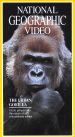 National Geographic: Urban Gorilla