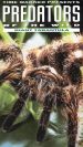 Predators of the Wild: Giant Tarantula