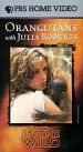 In the Wild: Orangutans with Julia Roberts