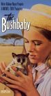 The Bushbaby