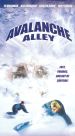 Avalanche Alley