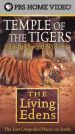 The Living Edens: Temple of the Tigers - India's Bandhavgarh Wilderness