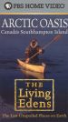 The Living Edens: Arctic Oasis - Canada's Southhampton Island