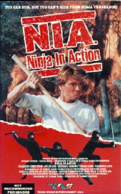 Ninja in Action