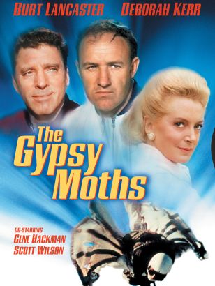 Watch Moth Download Full Watch Moth Download Full