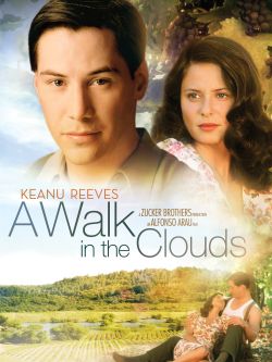 A Walk in the Clouds