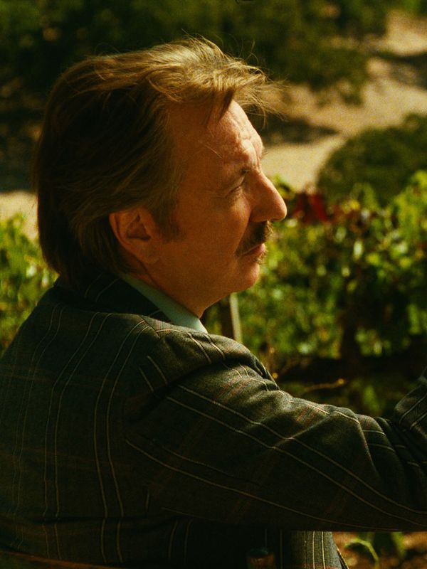 Bottle Shock (2008) Randall Miller Synopsis, Characteristics, Moods