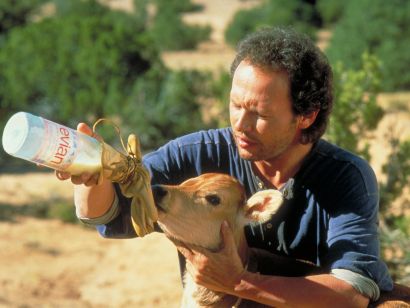 City Slickers