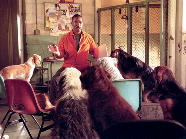 Dr. Dolittle 2