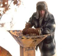 Peter Stormare
